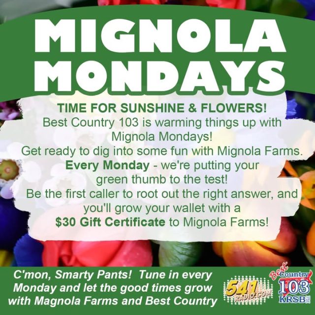 🌿 Fall Yard Work Warriors, Gear Up! 🍂 Rake in the Rewards with Mignola Monday on Best Country 103! 🌾

Hey, fellow leaf-peepers and lawn lovers! As you tackle those autumn chores—mulching leaves to enrich your soil (did you know fallen leaves make killer natural fertilizer?) and planting spring bulbs now for a colorful comeback (fall is prime time for tulips and daffodils to root deep!)—don't forget to tune in every Monday morning with Moon & Grubes on Best Country 103!

Call in at the right time for your shot to win a $30 Gift Certificate to Mignola Farms—perfect for stocking up on fall mulch, bulbs, or cozy garden goodies! 🎉📻

Stay tuned for the call-in details and let's make your yard the talk of the neighborhood! Who's ready to harvest some wins? 👏