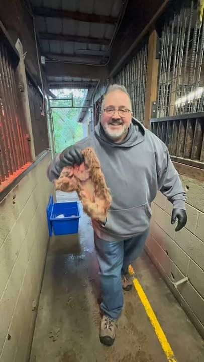 Some photos from our trip to Wildlife Safari yesterday. Be sure to head out to Wildlife Safari for the remaining dates of the Wildlights and book yourself time with the Holly Jolly Giants both happening December 19-21 and 26-28th. 

Also Wildlife Safari is now on DoorDash for your favorite wild eats and treats delivered to your door including fresh Cotton Candy year round!!!