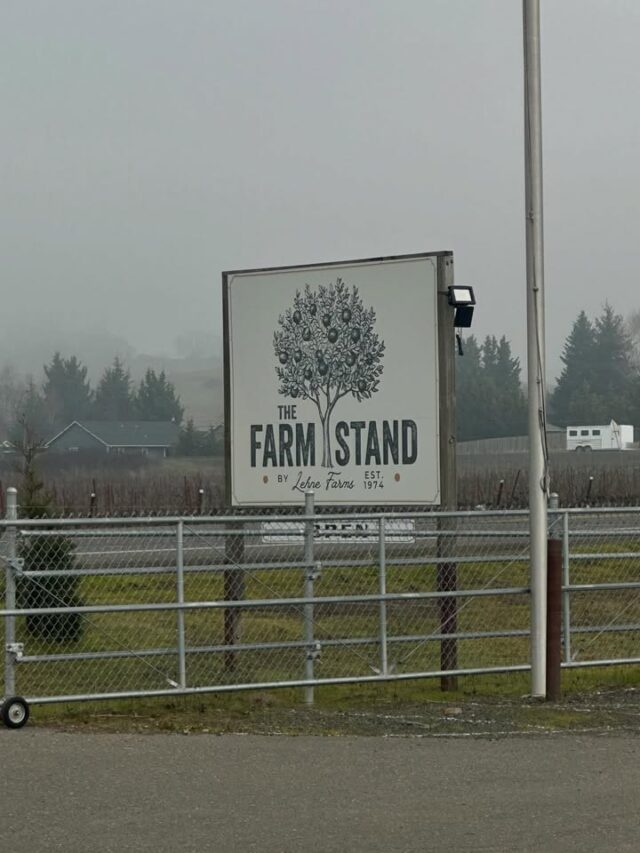 🌟 Moon & Grubes from Best Country 103 just swung by Lehne Farms, LLC and @thefarmstand_lehnefarms in beautiful Roseburg, and WOW—what a spot! 🌽☕

This family-run gem in Douglas County is bursting with fresh, local goodness straight from the Umpqua Valley:

🍅 Farm-fresh produce (vine-ripened and seasonal!)
🥛 milk & dairy
🥧 Homemade pies, pastries, donuts & desserts
☕ Specialty coffee/espresso
🍷 Wines
...and SO much more!

The menu rotates, so there’s always something new and delicious to discover. Grab a quick bite on the go, pick up dinner for home, ingredients you may need to cook at home, or treat yourself to something sweet—you won’t be disappointed!

If you’re in Roseburg or ever here in Douglas County, you HAVE to stop by The Farmstand and see (and taste!) it for yourself. Support local, eat fresh, and enjoy the farm life! 🚜❤️

📍 532 Melrose Rd, Roseburg, OR  
🕒 Open Wed-Sat (check hours—usually 9am-5pm or so!)

Who’s heading there this week? Tag a friend who needs this in their life! 👇 #LehneFarms #TheFarmstand #RoseburgEats #DouglasCounty #SupportLocal UmpquaValley FreshFromTheFarm