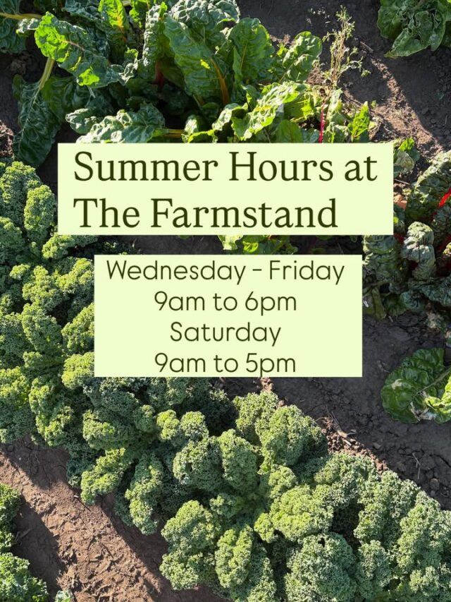 Be sure to head out to Lehne Farms, LLC and check out all they have to offer!!! Tune in each Thursday to Moon & Grubes for your chance to win a $50 gift certificate to The Farmstand at Lehne Farms by playing our Fresh Find Sound Off every Thursday morning!