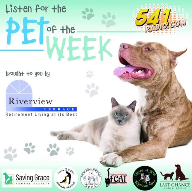 🐾 Pet of the Week: Meet Monster! 🐾

Meet Monster, a name that doesn't quite fit his personality! This curious and friendly boy is an absolute sweetheart who loves people and is always up for an adventure. With an athletic build and a spring in his step, Monster is always ready to explore the world around him and take on new challenges. He is a true companion, eager to please and be by your side through thick and thin. Monster's curious nature makes him a joy to be around, as he approaches each day with an enthusiasm that is sure to bring a smile to your face. He is a unique dog with a big heart.

Monster is available for adoption through Saving Grace Humane Society.

Pet of the Week is proudly brought to you by Riverview Terrace Retirement Living. Every week we spotlight one amazing animal looking for their forever home. We’re honored to partner with these dedicated local rescues making a difference in Douglas County:

* Saving Grace Humane Society
* Soul 2 Soul Animal Rescue And Sanctuary
* New Beginnings SPCA
* Feral Cat Awareness Team
* Love A Pit Rescue
* Last Chance Animal Rescue

Listen in on 541Radio, fall in love, and consider opening your heart and home. Your perfect pet might be waiting for you right now!

#PetOfTheWeek #AdoptDontShop #SavingGraceHumaneSociety #MonsterTheDog #DogAdoption #DouglasCountyRescues #RoseburgPets #RiverviewTerrace