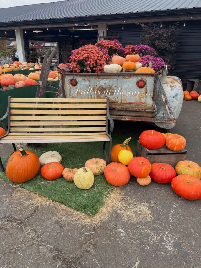 Congratulations to this morning's winner of a gift certificate to Lehne Farms, LLC and the Farmstand! Congrats Devin! 

Next Thursday is another chance to win a $50 gift certificate during Moon & Grubes in the Morning! Be sure to head out to Lehne Farms, LLC for all they have to offer including the fall festivities!