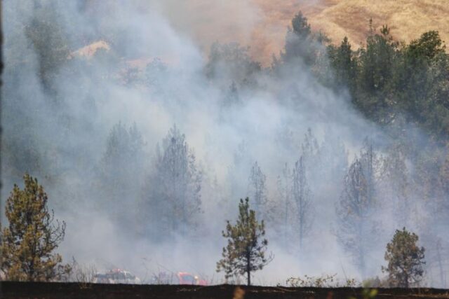Crews are attacking a grass fire off the 2400 block of Diamond Lake Boulevard in Roseburg and, stopping forward momentum before it could reach structures.

According to Roseburg Fire Department Chief Tyler Christopherson, crews were dispatched to a fast-moving grass fire, where they found a fire moving towards Diamond Lake Boulevard and around buildings. Crews then provided structure protection and lined the fire.

Chritopherson said the fire was estimated at around four to five acres but had grown significantly since initial estimates.

"Currently, they have multiple dozers all pushing line all the way around the property to contain it, and it's almost complete at his time," Christopherson said.

For More Information Please Visit www.nrtoday.com