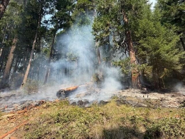 Mop up continues on the Castle Fire, which is now 80 percent contained and remains at 3,613 acres.

426 personnel are working at the fire, which is located 23 miles northeast of Tiller.

The Southern Area Grey Incident Management Team has assumed command of the fire.

Firefighters work to eliminate any heat sources that are encountered. Interior pockets of unburned fuel may produce isolated torching and visible smoke columns. Chipping, rehab work, and hazard tree identification and falling will be conducted. The fire is being managed for full suppression.

An upper-level trough will set up overhead Wednesday into Thursday, setting up increased marine influence from the west. Temperatures will hover right around normal for this time of year. A significant marine push in the morning will bring higher humidity to the area, with greatly increased valley recoveries. Afternoon winds will remain enhanced throughout this time. Light-terrain-driven winds in the overnight and early mornings will give way to breezy upslope/valley winds in the afternoons, with breezy northwest winds over the ridges.

The Umpqua National Forest expanded closure area continues to be in effect. All National Forest System lands, roads and trails are closed to the public within the closure area. This includes several recreation areas.

For More Information Please Visit www.nrtoday.com