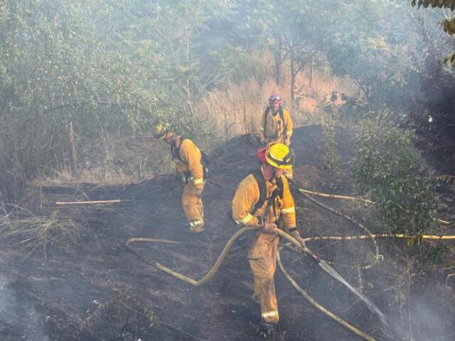 Worried that the climate here is getting warmer, earlier and longer, Roseburg city officials are proposing a ban on fireworks in all city parks and associated parking lots, “due to the fire and life safety risks associated with fireworks.”

Currently, Roseburg city code only prohibits the use of fireworks in Stewart Park. On Wednesday, the city's parks and recreation commission unanimously supported extending the ban to all parks. The final decision on the proposed ban rests with the city council, which is scheduled to discuss and vote on the matter April 13.

There are currently 20 developed parks, covering 428 acres of passive and active recreation, in the city. Stewart Park alone spans 236 acres. Much of the park space is surrounded by steep hillsides covered by trees and other vegetation, which can fuel a fire, city officials said.

According to those officials: “The climate in Douglas County has historically featured a wet rainy spring, which would gradually warm in June and continue through September. However, over the last decade, Douglas County and the rest of Oregon have seen a steady increase in warmer temperatures that now arrive earlier than in years past. This trend is lowering the moisture content in the fuels in the area, such as grass, shrubs and trees. The risk and fear is that a small fire would quickly and rapidly overrun available resources and spread through our parks and hillsides, carried by dry fuels and winds.”

Roseburg City Manager Nikki Messenger said if the new code is implemented, enforcement will be complaint-driven. She also said new signage will be installed to let people know about the change.

For More Information Please Visit www.nrtoday.com