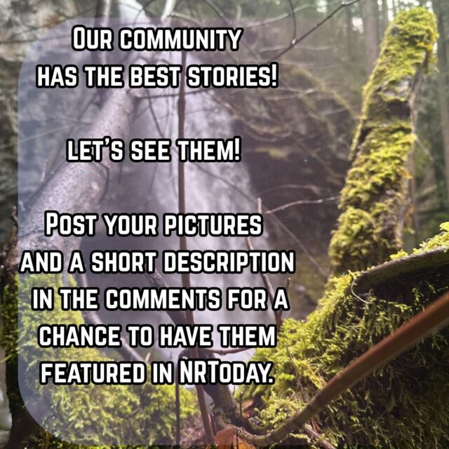 We want to highlight those in our community capturing everyday life in Douglas County and the things you are enjoying. We want to feature your photograph's in NRToday! 

Just drop a photo of your choosing and a short description of the image for your chance to be highlighted with new photograph's daily. So either drop them in the comments, or message our page and we will get each one sent to our NRToday staff.

Let's show our favorite shots and stories of Douglas County.