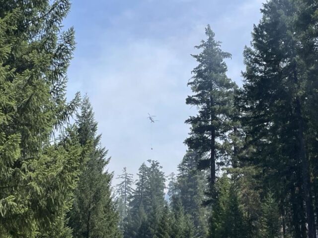The Castle Fire burning on the Umpqua National Forest is listed at 2,429 acres and 15 percent contained, as of Sunday night.

703 personnel are working on the fire which is burning 23 miles northeast of Tiller.

An update from California Incident Management Team 13 said the west side of the fire remains active, with helicopters continuing bucket drops to knock down fire intensity as it approaches primary control lines. Crews continue to patrol and mop up the 28 and 2823 roads. Crews are also continuing preparation of contingency lines on the northeast side of the fire. Backing and flanking have been observed on the northwest side of the fire. Nighttime firing operations are holding and being monitored. The Douglas Forest Protective Association is supplying two Blackhawk helicopters to assist with air operations. The fire is being managed for full suppression.

Weather will be hotter and drier on Monday and stay that way this week.

Friday night the Umpqua National Forest expanded the closure area in order to protect the public and provide a safe environment for firefighters. All National Forest System lands, roads and trails are closed to the public within the closure area. A number of population recreation areas are now closed.

For More Information Please Visit www.nrtoday.com