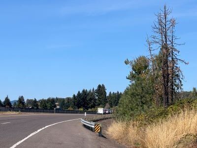 Drivers should expect traffic delays on Interstate 5 in the Sutherlin and Oakland areas beginning next Monday as workers remove about 80 dead and dying trees near the travel lanes.

Oregon Department of Transportation Public Information Officer Dan Latham said tree-cutting operations are scheduled for Monday September 28th through Friday, October 2nd, from 7:00 a.m. to 3:30 p.m.

Latham said rolling slowdowns will be used in both directions of I-5, affecting traffic between milepost 135 and 140. Most of the slowdowns will take place earlier in the week. During a rolling slowdown, pilot cars hold traffic to a slow but steady pace to give crews time to cut down trees.

For More Information Please Visit www.nrtoday.com