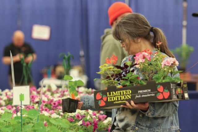 It was early Saturday when a line of gardening enthusiasts, wheelbarrows in hand, had begun to snake through the Douglas County Fairgrounds. When the clock struck nine and the doors of the exhibit building opened, a frenzy ensued as they rushed to get their hands on one thing: plants.

The event was the Plant and Garden Expo, organized by the Douglas County Master Gardener Association. Attendees were invited to buy from a selection of hundreds of varieties of flowers, vegetables, herbs, trees, shrubs, houseplants and more.

Along with the plants, a variety of vendors sold their own gardening-related goods, such as seeds, tools, clothing, skincare products and more.

The annual event, now at its 39th year, has become something of a tradition for phytophiles from Douglas County and beyond. Longtime attendee Kara Schoonhoven said she appreciates how it continues to show Oregonians the value of gardening.

"I've been coming here for at least ten years, and every year it's getting bigger and bigger," Schoonhoven said. "It's good to keep on the tradition of growing your own vegetables and planting and having your hands in the dirt. That's so good for your mental health."

For More Information Please Visit www.nrtoday.com