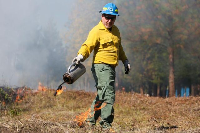 GLIDE — Glide High School student Louis Rinnert stood by a fire line and a hose, watching as firefighters set a field behind Glide Elementary School ablaze Wednesday afternoon.

"We're doing like, a prescribed burn in here, just to help the natural grow of camas so that elementary schoolers can learn more about the natural plants in this area," the junior said.

Glide High School fire science students, led by science teacher Loren Shaw, assisted Glide Rural Fire Protection District in burning a portion of the overgrown camas and other invasive plants near the nature path behind Glide Elementary School.

Students from Wolf Creek Job Corps Civilian Conservation Center joined in the project. Cow Creek Band of Umpqua Tribe of Indians member Jesse Jackson spoke on the cultural significance of such a burn. He said the ideas are shifting from "a Smokey Bear mentality into more of a native mentality."

https://www.nrtoday.com/news/education/glide-school-district-hosts-educational-burn-at-nature-walk/article_d56bb80e-bfd7-4a0a-b730-cf1a5cefd69c.html