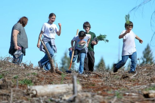 RICE HILL — The Healthy Forest Advisory Committee hosted fifth graders from Fir Grove and Winchester elementary schools in a plot of land owned by Roseburg Forest Products in Rice Hill.

The Thursday morning field trip included hands-on education in the form of planting tree saplings, learning about what people do in forestry and other benefits of the trade.

"Fir Grove and Winchester have a really long tradition of doing this," Fir Grove fifth grade teacher Courtney List said. "So we don't have, you know, opportunities to interact before this. We meet up on the mountain, and we plant, and it's just a good way for district schools to give back to our community."

The Healthy Forest Advisory Committee was previously known as the nonprofit Community for Healthy Forests but is now all volunteer based, Mark Buckbee said, and is associated with Umpqua Community College as the fiscal sponsor.

“This is a perfect unit for these kids, because it's fairly flat,” Buckbee said. “There's very little debris on the ground.”

The students spent over an hour planting tree saplings, tiny Douglas fir and their roots, in the soil around the about 3-acre plot reserved for them. Roseburg Forest Products forester Connor Gowey said his team replanted most of the area and left off a spot for the schools — an easily accessible spot for the busses to have a turn around spot and for the students to remain safe.

For More Information Please Visit www.nrtoday.com