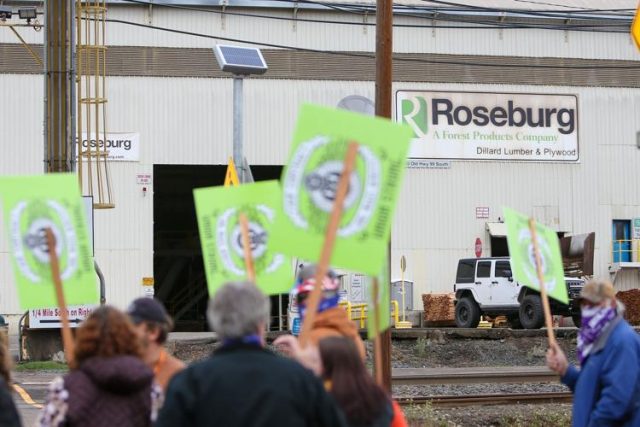 DILLARD — On Monday, Roseburg Forest Products (RFP) in Dillard witnessed a gathering of “zombies.” These zombies weren’t seeking brains. Instead, they were seeking compensation for their service and union recognition.
That horror-themed analogy is how the Local 2949 Lumber and Sawmill Workers union described the laid-off employees of RFP’s Dillard hardwood plywood facility as they picketed Monday afternoon. The gathering came after RFP announced Sept. 25 that it had discontinued operations at the hardwood plywood facility, leading to layoffs for more than 100 RFP employees.
According to a Local 2949, more than half of the laid off employees served anywhere between 20 to 40 years. Employees were allegedly called one evening — following a two-week layoff — informing them not to return to work and to schedule times to clean out lockers with the human resources department.
https://www.nrtoday.com/business/laid-off-rfp-dillard-plywood-employees-hold-zombie-informational-picketing/article_d842e5b7-bfa7-4061-bb02-ec0c5517afff.html