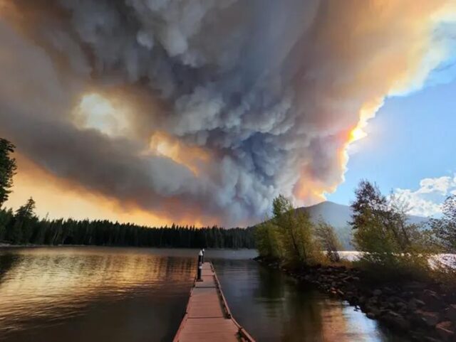 UMPQUA NATIONAL FOREST — The North Umpqua Ranger District in the Umpqua National Forest is working on conducting the Cedar Creek project, a vegetation management project in the middle and upper Steamboat Creek subwatersheds about 40 miles east of Glide.

North Umpqua District Ranger David Andersen said in a notice of the project that an interdisciplinary team will be preparing an Environmental Assessment for the project. Forest records and analysis show opportunities for thinning, creation and maintenance of fuel breaks and prescribed fire.

For More Information Please Visit www.nrtoday.com
