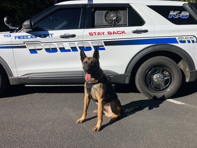 REEDSPORT — Robert Alan Strebendt, 47, of Florence, is in the Douglas County Jail on multiple drug charges, thanks in part to the Reedsport Police Department's K9, Snow. 

Snow is a 2-year-old male Belgian Malinois from France, according to the Friends of the Umpqua Valley Police K9 Program. Snow replaced Reedsport's retired K9, Penny, in April of 2025.

By the end of May, according to court records, Snow had assisted in a large seizure of methamphetamine from a vehicle. 

Now, the Douglas County District Attorney's Office has a defendant to go along with that narcotics seizure. The court records indicate the police had to work for it.

https://www.nrtoday.com/news/court/new-reedsport-police-k9-aids-meth-seizure/article_cefb0a2e-8888-4377-9f6f-9ff8f7dda8e2.html