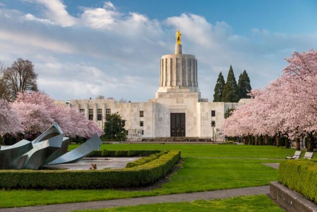 The unofficial results for U.S. and state representatives in the May 19 primary election were counted and released as of 10 p.m. Tuesday evening.

For the U.S. senator Democratic primary race, Jeff Merkley took 4,899 votes for 88.62%. He beat out opponent Paul Damian Wells, who took 535 votes for 9.68%.

For the U.S. senator Republican primary race, David Brock Smith took the lead with 6,701 votes in Douglas for 50.40%, beating out runners-up Jo Rae Perkins at 2,547 votes for 19.16%, Brent Barker at 1989 votes for 14.96%. Statewide, Smith is leading by 74,849 votes or 30.09% as of 11 p.m.

For More Information Please Visit www.nrtoday.com