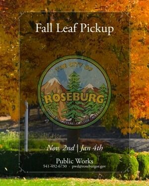 Roseburg Public Works crews will provide residential leaf collection inside the city limits from Monday, Nov. 2, through Monday, Jan. 4 of next year.

A city release said the work will begin in the Laurelwood neighborhood behind Roseburg High School and work clockwise around the city. Each cycle generally takes about a month, depending on the amount of leaves collected. The route will be repeated throughout the program.

The cyclical route helps the city provide an effective, cost-conscious service while keeping leaves out of storm drains, creeks and rivers. Last year, crews collected 1,080 cubic yards of leaves equal to about 108 standard dump truck loads.

Public Works Director Ryan Herinckx said, “The leaf pickup program helps keep the city street drains, as well as the storm pipe infrastructure, clean and functioning properly.”

For More Information Please Visit www.nrtoday.com