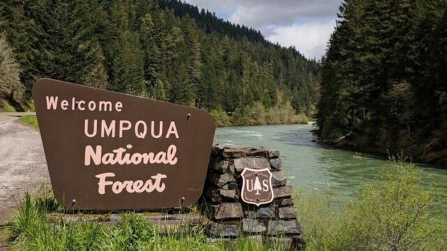 Diamond Lake and Tiller Ranger districts in the Umpqua National Forest are planning prescribed fires this fall season.

A UNF release said officials estimate this work will occur between this Friday and October 19th as conditions allow. Certified prescribed fire specialists use prescribed fires to help remove excess vegetation, reduce wildfire risk, improve habitat and restore fire-adapted ecosystems.

In the Diamond Lake Ranger District, underburning is planned for these areas:

*Cold Spring Unit 32/33 – National Forest Service Road 3401-200, Upper Thorn Prairie

*Cold Spring 121, NFSR 3401-600, Thorn Prairie

In the Tiller Ranger District, underburning is planned in Unit 710, Long Prairie – along NFSR 3201-300, west of Threehorn Campground. Closed areas include:

*At the junction of NFSR 32-300

*At the junction of NFSR 600-620

*At the junction of NFSR 300-330 – Diamond Rock

*And at the junction of NSFR 1616-205

For More Information Please Visit www.nrtoday.com