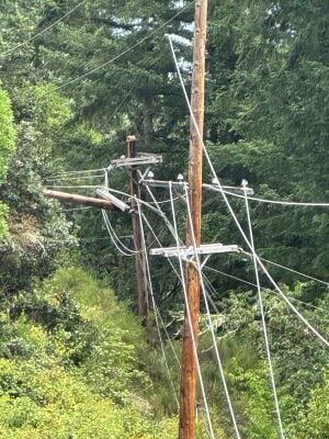 Hundreds of Douglas Electric Cooperative customers in north county were without power for hours on Thursday after a tree fell into a power line

DEC Chief Operating Officer Phil Bigler said the outage began around 12:00 p.m. and affected over 500 members in the area north of Drain, including Curtin and Territorial Highway. Bigler said since the utility has its wildfire-season protection settings currently set to be more sensitive, the outage affected a larger area than it might have otherwise.

Bigler said the large tree fell from outside their right of way, breaking one pole and completely stripping another in a hard to access area. Bigler said power was restored to all members shortly before 10:00 p.m.

For More Information please visit www.nrtoday.com