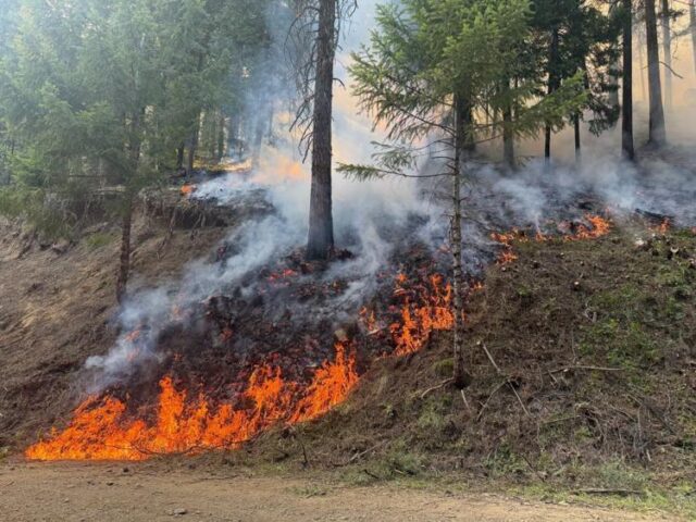 The Castle Fire, burning in the Umpqua National Forest, is up to 1,400 acres as of late Sunday night.

A UNF update said the fire is burning in steep, rocky, cliff terrain. On Sunday, the fire continued backing and flanking with short runs where terrain and fuels aligned. Crews are making good progress. Seven air resources were actively engaged on the fire Sunday. Additionally, two hotshot crews, multiple type 2 crews, engines, falling modules, water tenders, and heavy equipment supported this fire. Personnel are burning line along containment lines.

For firefighter and recreator safety, South Umpqua Falls Campground and Day Use Area are closed under an administrative closure effective Monday. Additionally, dispersed camping in the area is also closed under an administrative and public safety closure.

Ten other fires on the Umpqua National Forest are now contained, controlled or are out.