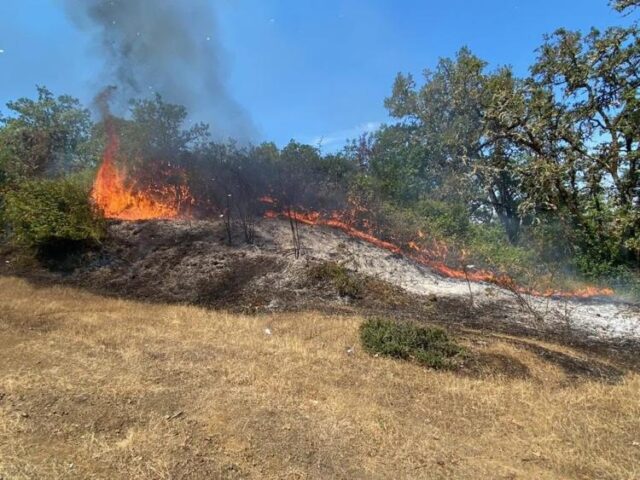 Crews with the Roseburg Fire Department responded to an estimated quarter of an acre fire on Monday afternoon.

An RFD update said at around 12:00 p.m. the fire was reported in an area of Northeast Ross Avenue off of Northeast Lincoln Street. Forward progress was stopped and the fire was extinguished after a short time. Crews remained on the scene for mop up. The fire led to smoky conditions in the area for a time. The cause of the fire is under investigation.

For More Information Please Visit www.nrtoday.com