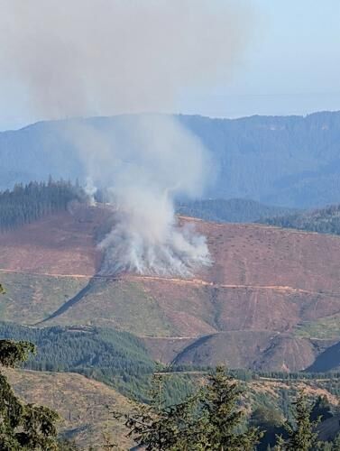 The Douglas Forest Protective Association (DFPA) is currently responding to a blaze, dubbed the Kent Creek Fire, southwest of Winston. Fire suppression efforts expected to continue through the day.

According to DFPA Public Information Officer Rachel Pope, the association first responded to the fire at around 1 a.m. this morning. As of 8 a.m., it is estimated at around 12–15 acres in size but currently poses no threats to structures or homes. 

"DFPA and as well as ODF resources are on that fire," Pope said. "They currently have it 100% trailed...we gave engines on scene, also including DFPA's heavy equipment, which are dozers."

This is a developing story. For more information and to follow fire updates, visit the Douglas Forest Protective Association.