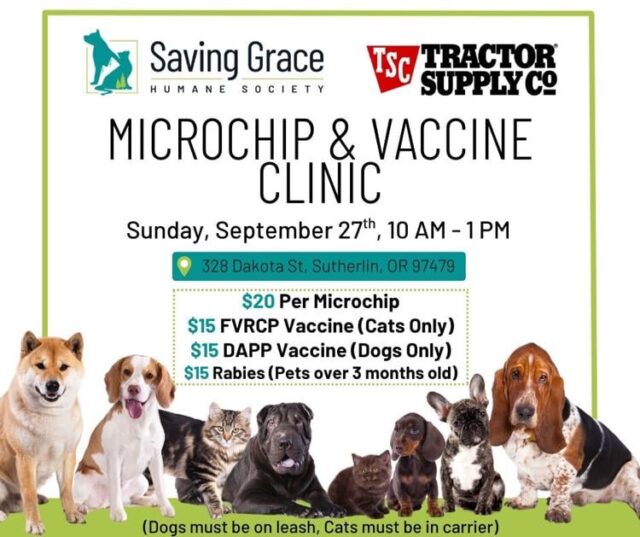 Saving Grace Humane Society is hosting a Microchip and Vaccine Clinic at the Sutherlin Tractor Supply Sunday, September 27th, from 10:00 a.m. to 1:00 p.m., offering low-cost microchips and vaccines for dogs and cats.

A release from Saving Grace said these clinics are a way to help keep pets healthy, protected, and safely identifiable while being low-cost.

Services at the clinic include microchips for $20 and vaccines for $15 each. The vaccines include:

o Rabies (cats & dogs over 3 months old)

o FVRCP (for cats)

o DAPP (for dogs)

The release said dogs must be on a leash, and cats must arrive safely secured in a carrier. Cardboard cat carriers are available for purchase at the shelter before the event for $8.

Extra donations—or “paying it forward”—is always appreciated and help Saving Grace continue to offer affordable clinics and support their mission. If cost is a barrier, organizers say they will do their best to accommodate attendees.

For More Information Please Visit www.nrtoday.com