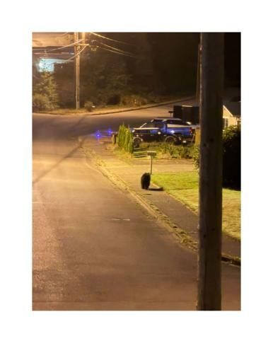Staff with the City of Reedsport are warning of bear sightings in that community.

City Recorder Rhonda Bryan said a mother bear with two cubs was spotted in the Bowman Road area. Bryan said other sightings have been close to Lower Umpqua Hospital, on Ranch Road and Ridgeway, and at other locations.

Residents are asked to be “BearWise” by securing garbage and keeping containers indoors until the day of collection, taking down bird feeders during active bear season or hanging them well out of reach, and keeping pet food inside. Doors, windows, and vehicles should be kept locked, so bears do not smell food inside.

For More Information Please Visit www.nrtoday.com