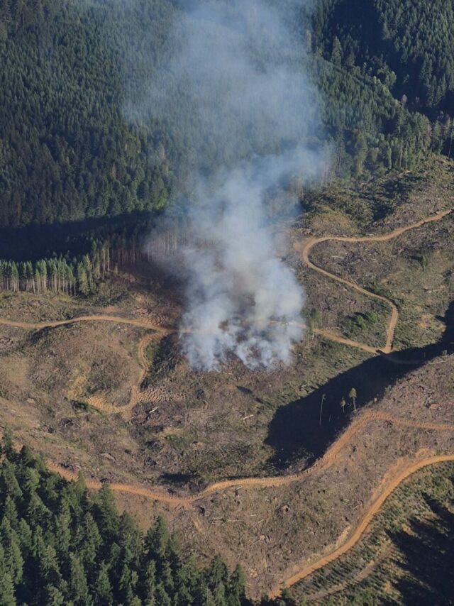 Crews from the Douglas Forest Protective Association are tackling the Little Paradise Fire near Elkton.

A DFPA post said resources from the agency with assistance from the Oregon Department of Forestry West Lane engaged in an aggressive initial attack on the estimated 3.5-acre fire starting Wednesday afternoon. There was moderate fire activity on the fire which is in a previously logged unit. 2 DFPA helicopters worked on air attack along with 3 West Lane engines, 4 DFPA engines, 2 squads and a dozer.

By 8:30 p.m. the Little Paradise Fire was 100 percent hose-layed and 100 percent plumbed. Ground crews, supported by a dozer, were continuing to make steady progress trailing the fire’s perimeter. Suppression activities continued Wednesday night and will on Thursday as well. Additional resources have been ordered and continue to arrive on the scene.

No homes or structures are threatened by the Little Paradise Fire.

For More Information Please Visit www.nrtoday.com