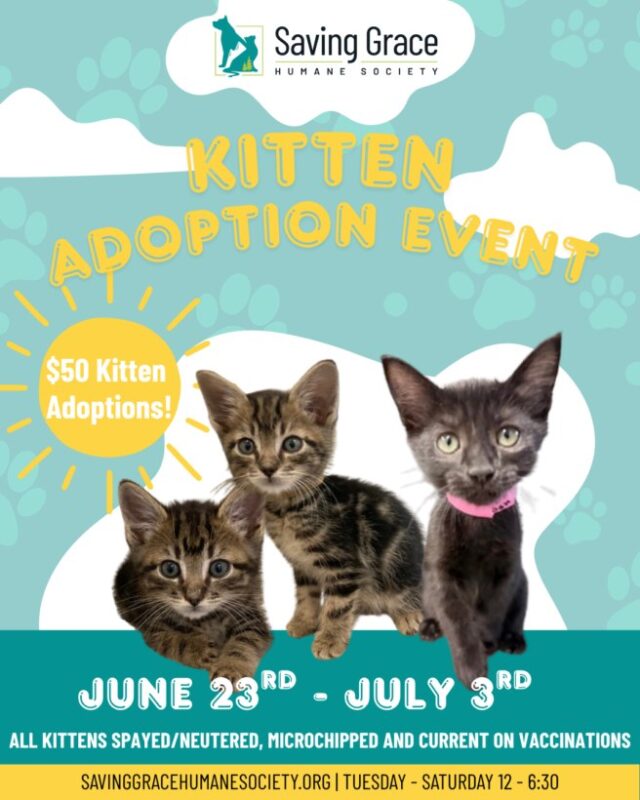 Saving Grace Humane Society has a kitten adoption special now through this Friday, July 3rd.

Development and Communications Manager Cyn Demers said all kitten adoption fees are discounted to only $50 each, down from their normal cost of $110. Demers said all kittens are spayed/neutered, current on vaccinations, and flea/tick preventatives and microchipped. Plus, all adoptions come with discount couples for local pet supply stores.

Demers said people are encouraged to adopt two kittens, because they always do better in pairs. With the reduced fee, it’s essentially a two for the price of one special. The adoption special needs to be mentioned at the time of the adoption to get the reduced fee.

For More Information Please Visit www.nrtoday.com