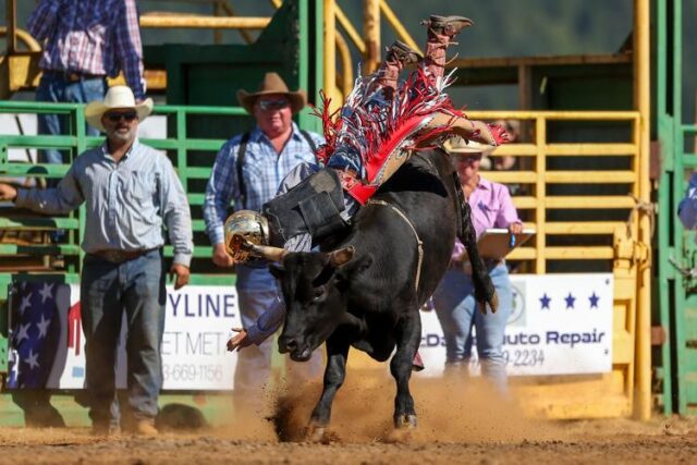 YONCALLA — Channing Robbins said he tried bull riding one time and was inspired to get better at it.

"I started at the NWYRA (Northwest Youth Rodeo Association) Rodeo," the 14-year-old from Yoncalla said. "I saw other kids doing it, so I wanted to try."

The Yoncalla Rodeo was his first time competing this summer. He said he has travelled around Oregon and Washington throughout his past few years competing as a bull rider, and plans to attend the Seven Feathers Fall Classic Rodeo in Canyonville in September.

He has been a part of the group of young athletes involved at the Yoncalla Rodeo arena throughout the summers, practicing with his friends and other rodeo enthusiast to prepare for competition.

While Robbins has been competing from the back of a bull for the past four years, he said this might be his last year focusing on the sport. He's planning to attend North Douglas High School next year, and has basketball and baseball higher in his priorities.

Robbins took a first place buckle home in the steer riding competition during the junior portion of the Yoncalla Rodeo on Friday. He said he felt good during the ride.

The Yoncalla Rodeo was held Friday and Saturday, with a junior rodeo held first on Friday before moving into the professional events.

For More Information Please Visit www.nrtoday.com
